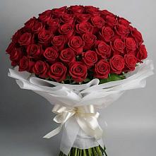 Букет 101 Красная роза Блэк Мэджик в Бунятино