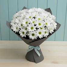 Букет цветов из:  Хризантемы #REPLACE_PRED# Бунятино