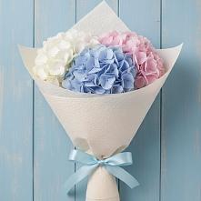 Букет цветов из:  Гортензия в Бунятино