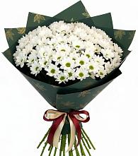 Букет цветов из:  Хризантемы в Бунятино