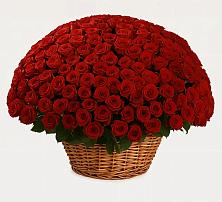 Премиум букет из: Розы #REPLACE_PRED# Бунятино