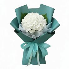 Букет цветов из:  Гортензия в Бунятино